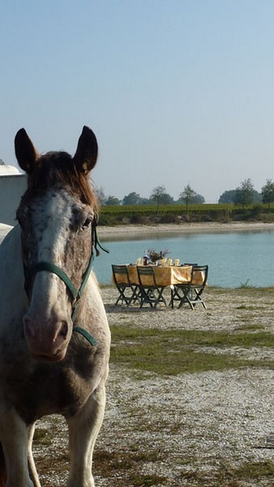 randonnee a cheval bordelais