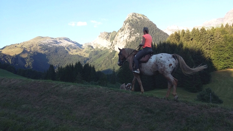 randonnee a cheval MOnt Blanc