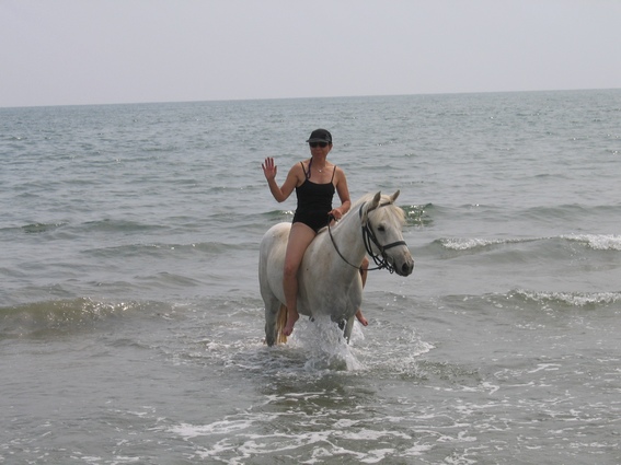 rando cheval camargue
