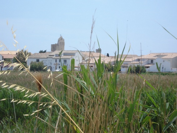 partir en rando a cheval en camargue