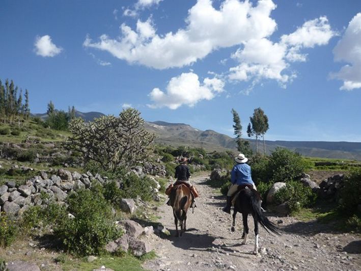rando a cheval au perou