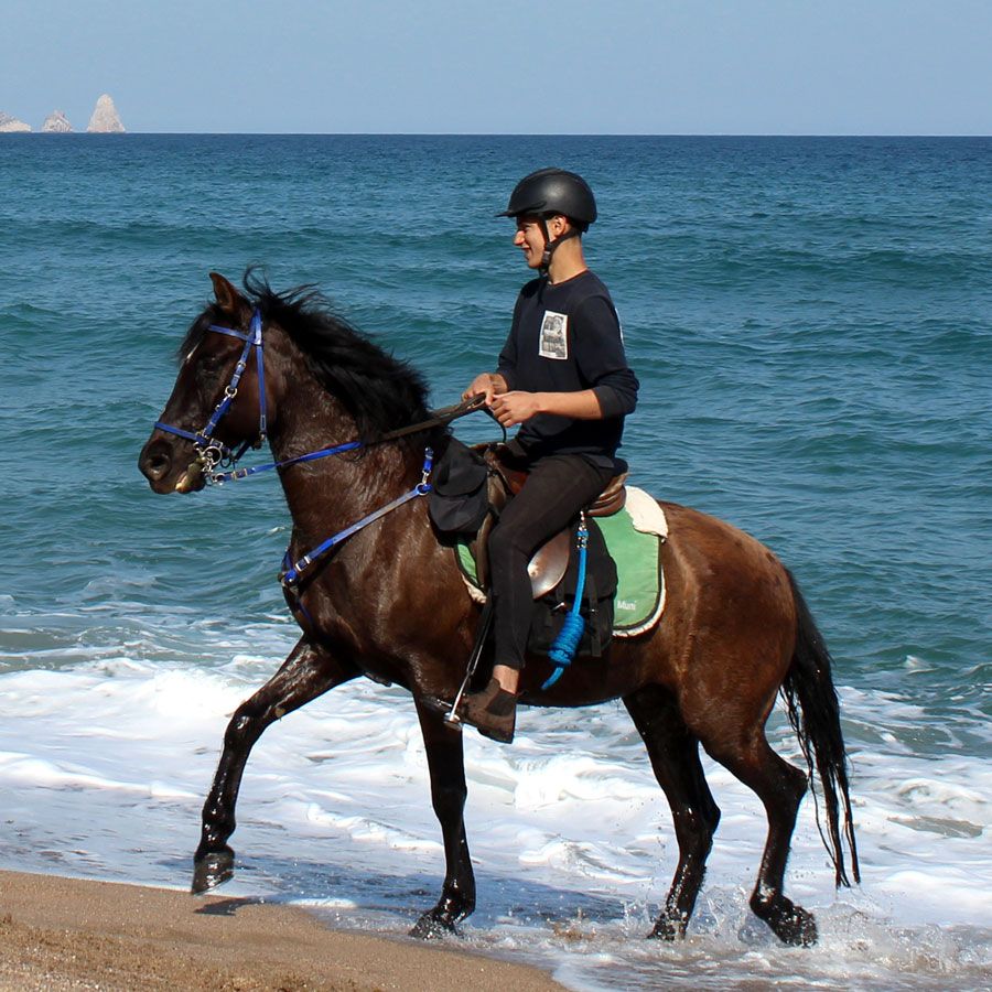 rando a cheval en espagne