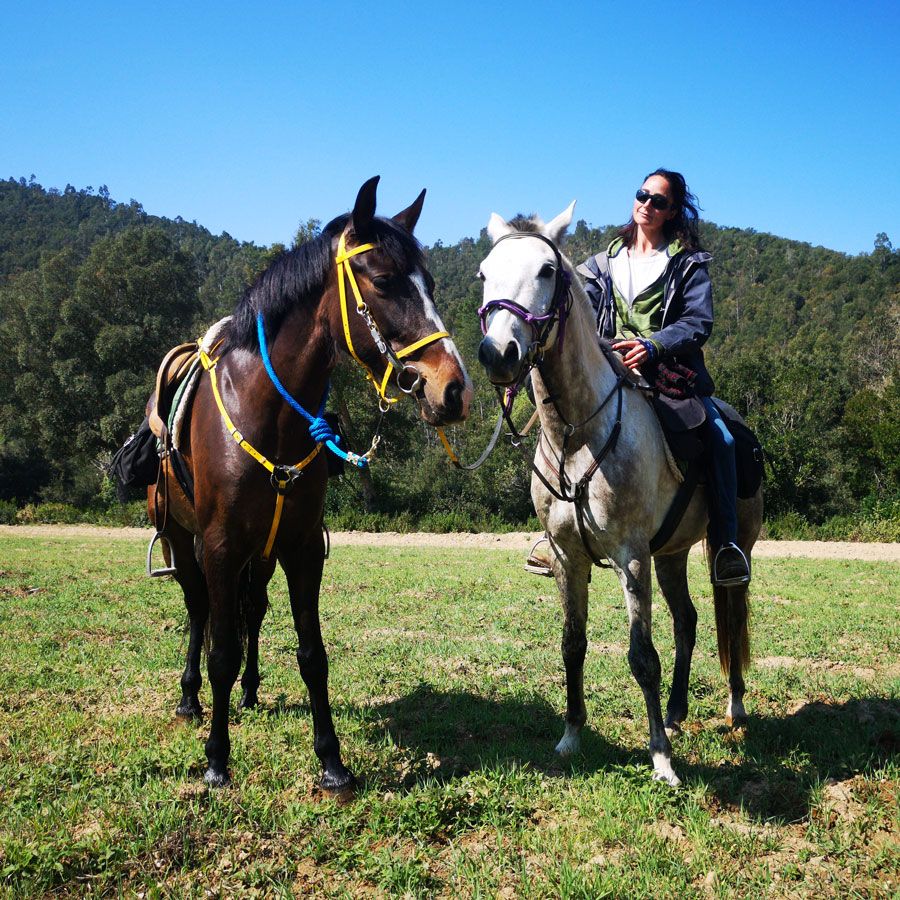 rando a cheval en espagne