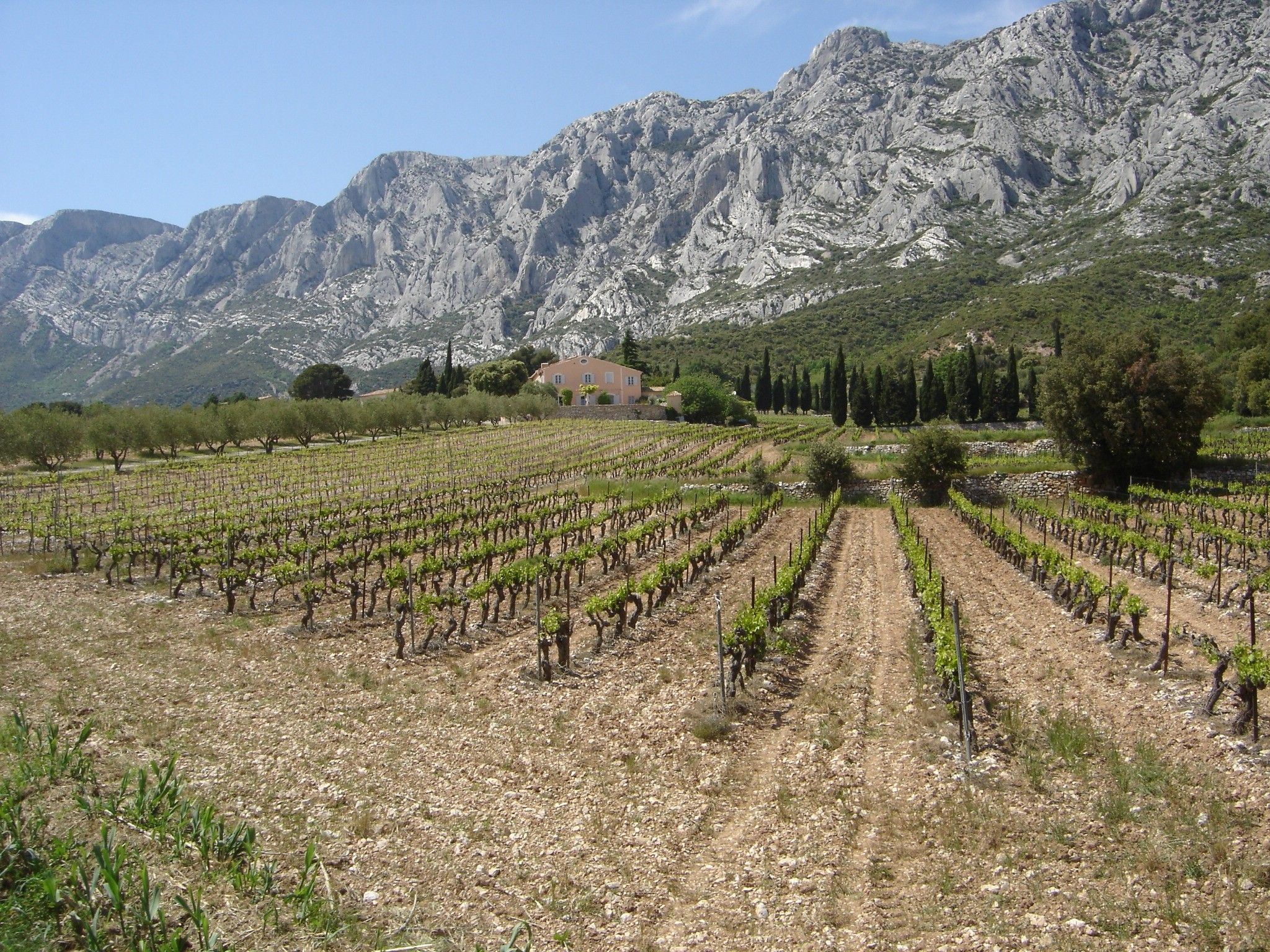 Rando a cheval Sainte Victoire