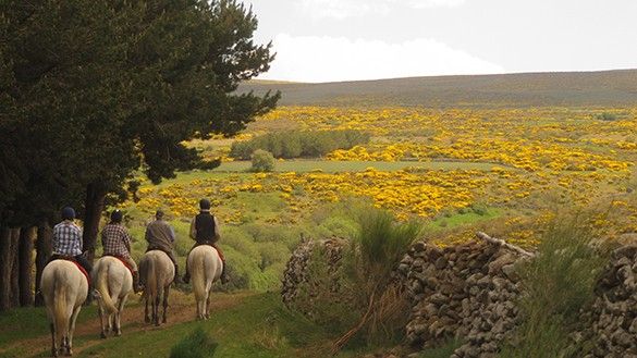 rando a cheval en espagne