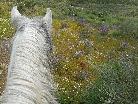 rando a cheval en espagne