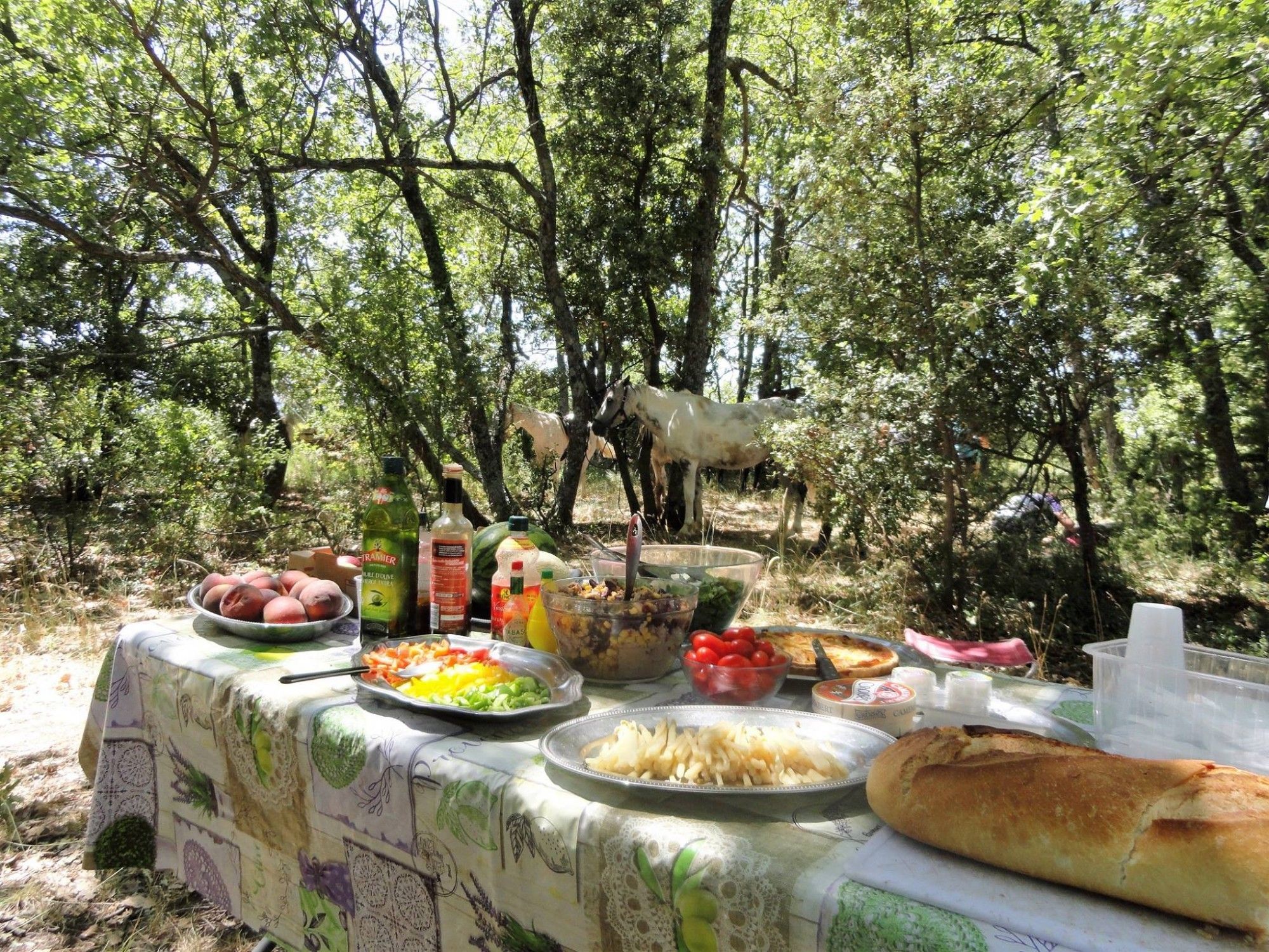 Pique-nique buffet en randonnée