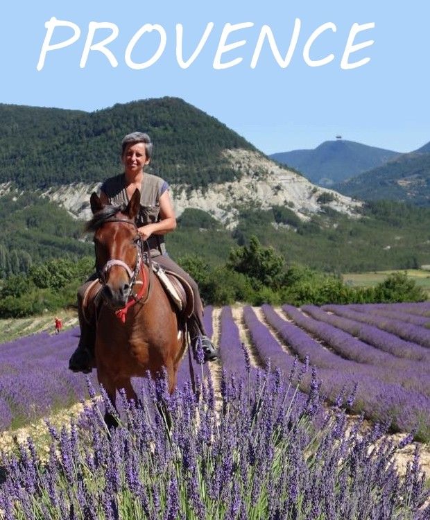 randonnee a cheval en provence