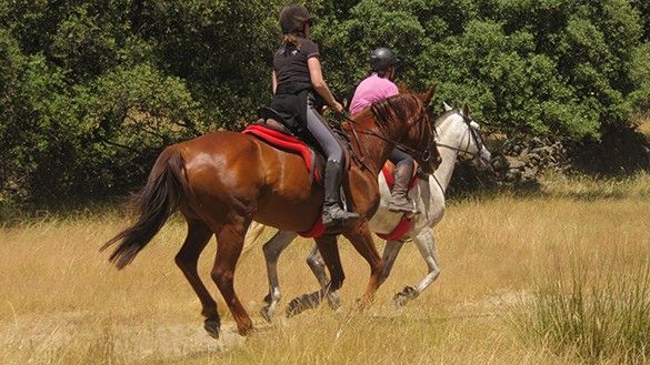 randonnee a cheval en espagne