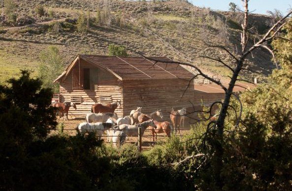 sejour equestre ranch usa