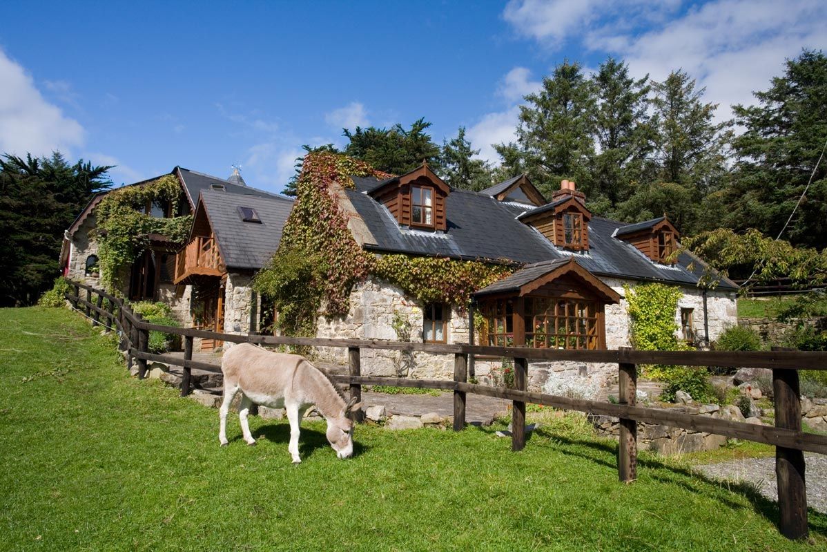 rando cheval irlande