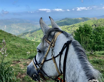 à cheval en Sicile