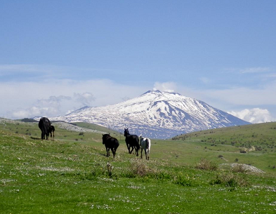 randonnée cheval Sicile Etna