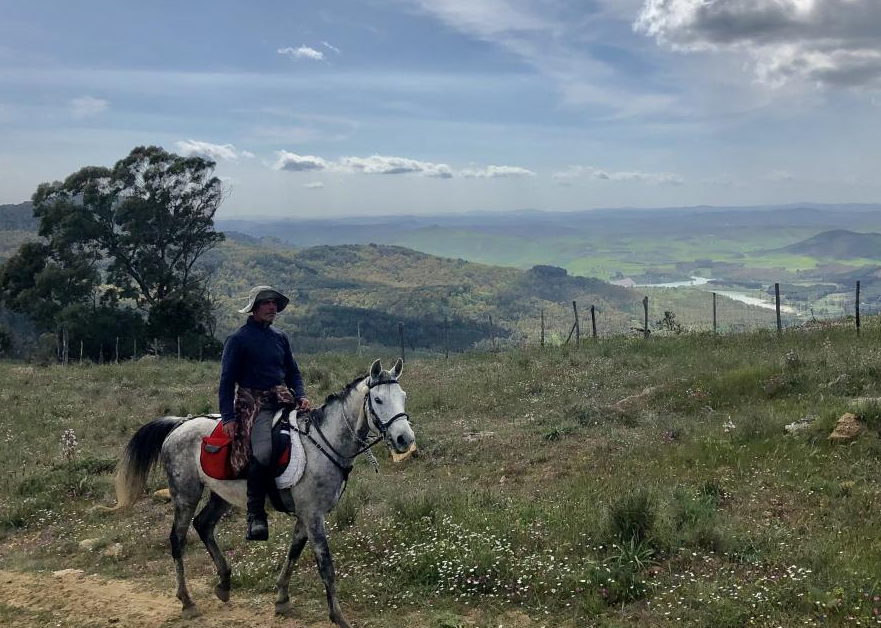 Sicile rando cheval