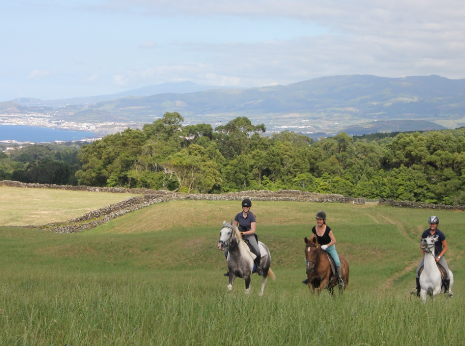 Acores à cheval