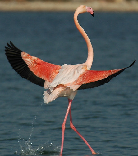 image-20211128200003-1