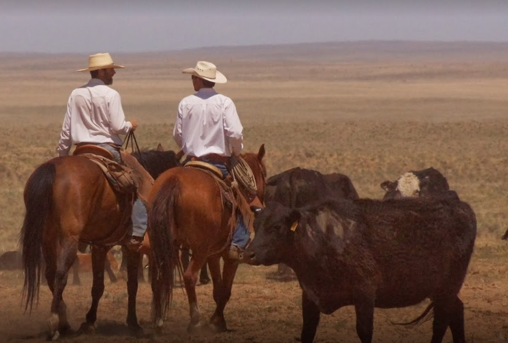 sejur ranch colorado à cheval