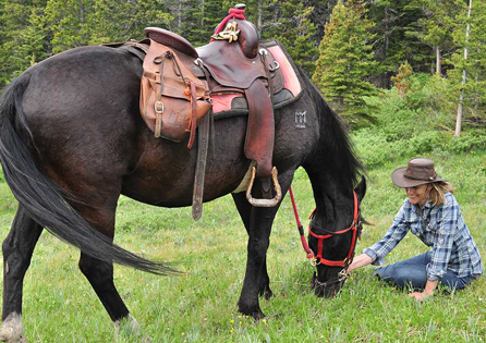 rando cheval Canada