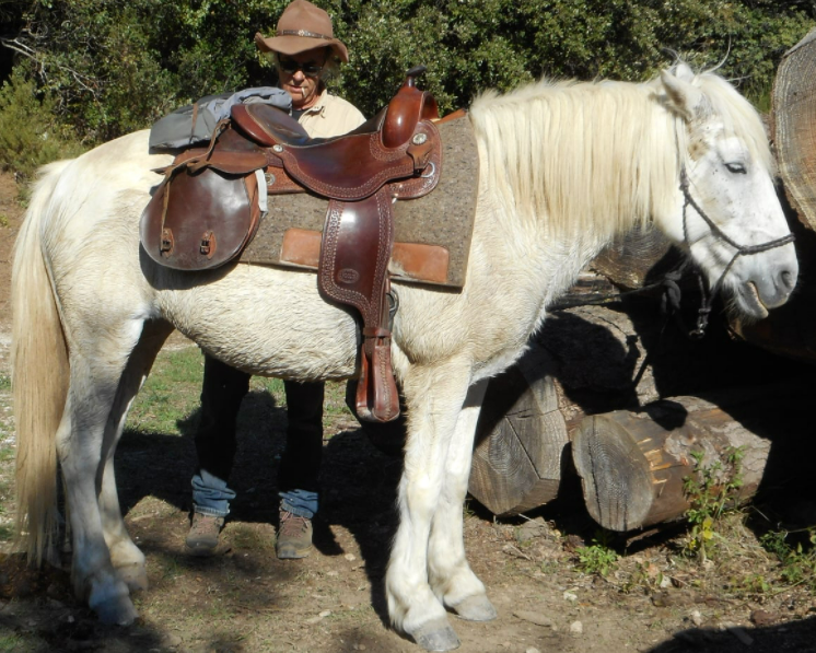 rando cheval Luberon