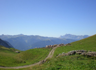 à cheval en Haute Savoie