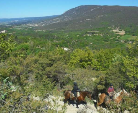 cheval à Lauris