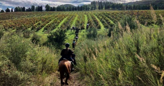 rando à cheval en Sicile