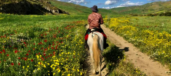 Sicile rando à cheval