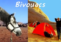 rando cheval Jordanie en bivouac