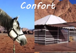 rando cheval Jordanie confortable