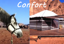 rando cheval confortable en Jordanie