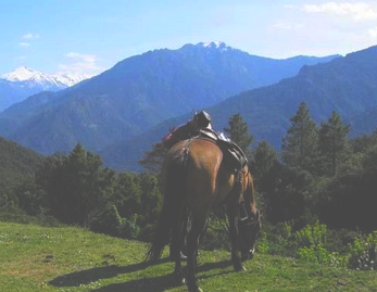 rando cheval Corse