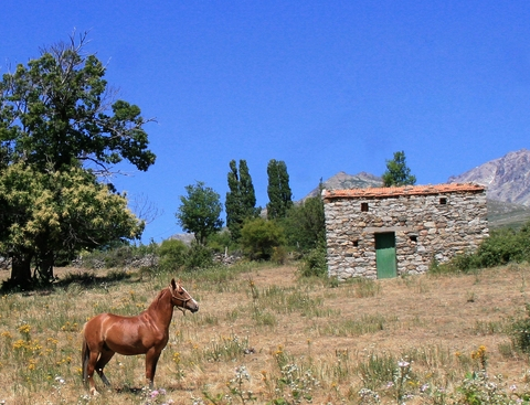 rando à cheval Corse