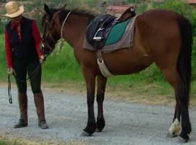 rando cheval Toscane