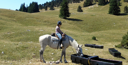 Semaine Vercors à cheval