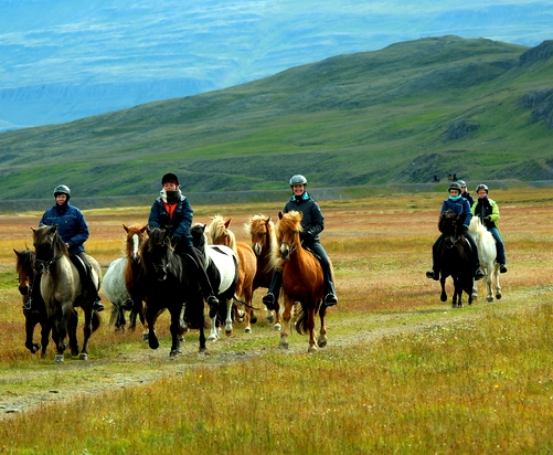 rand cheval Islande