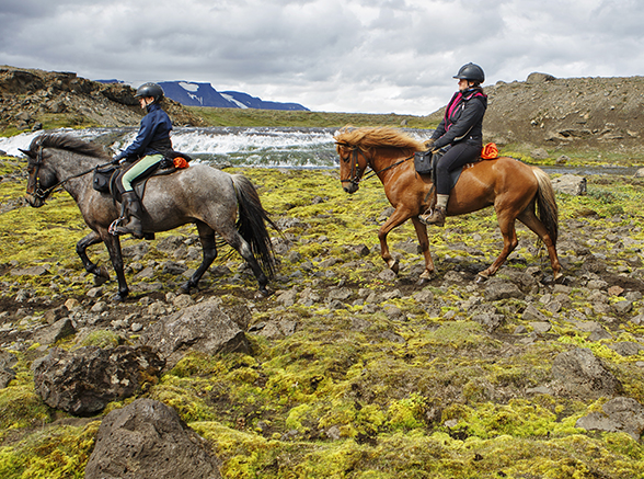 rando équestre en Islande