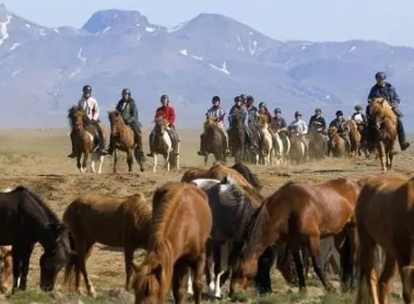 trek à cheval en Islande