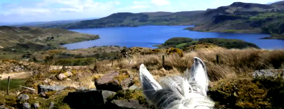 A cheval en Irlande