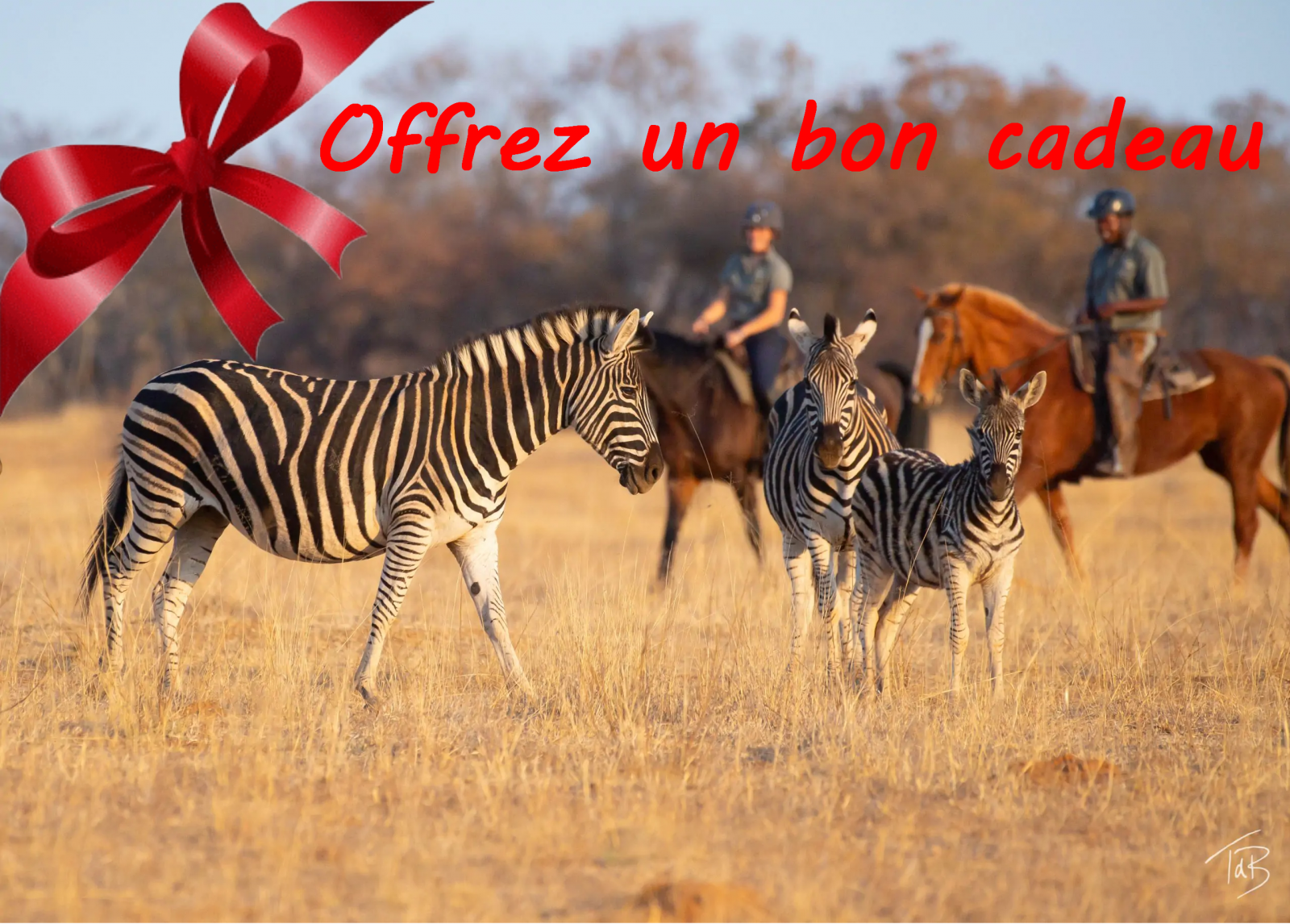 safari a cheval cadeau