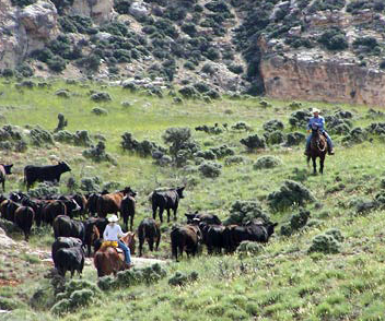 randonnée cheval Wyoming