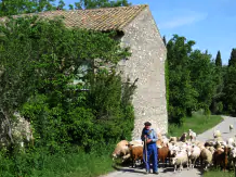 rando cheval haute provence