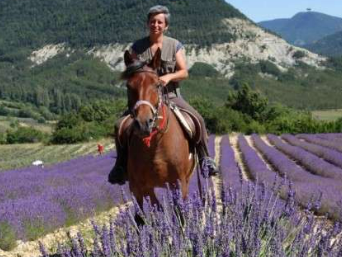 rando à cheval Provence