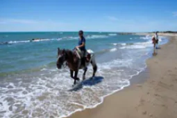 A cheval en Provence