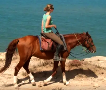 rando à cheval Maroc