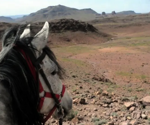 rando à cheval au Maroc