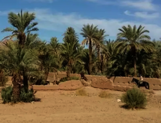 semaine rando à cheval Maroc