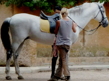 stage equitation Espagne Majorque