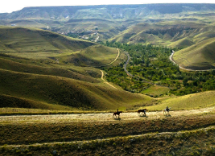 cheval en Cappadoce