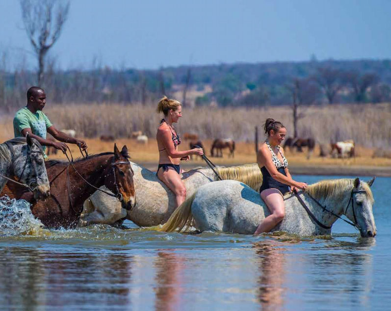 safari équestre