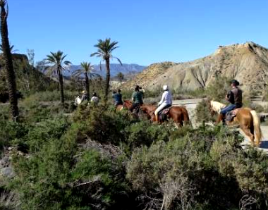 rando cheval semaine en Andalousie